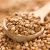 High Quality Organic Buckwheat kernels From South Africa