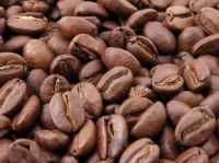 Robusta Coffee Beans And Arabica Coffee Beans