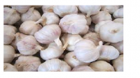 Fresh Garlic From Nigeria