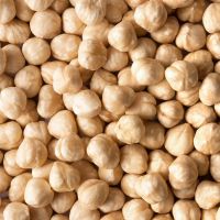 Blanched Whole Hazelnuts