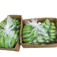 Fresh Cavendish banana exporter