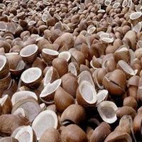 Dry Coconut Copra Ball Copra/Half Cut