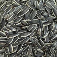 Sunflower Seeds