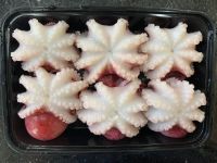 Frozen Baby Octopus (Whole Cleaned)