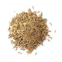 Bulk Cumin Seeds Exporter