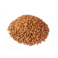 Bulk raw almonds for export
