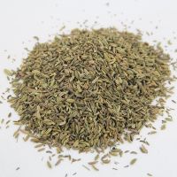 Cumin Seeds For Exports