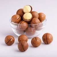 Raw Organic Macadamia Nuts For Export