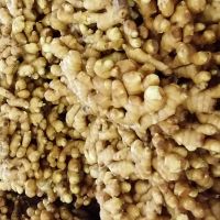 100% Pure Fresh Organic Ginger