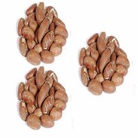 Bitter Kola Nuts, Bulk Export for Medicinal and Herbal Use