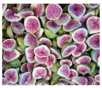 Dried figs, bulk figs, natural dried fruit for export From South Africa