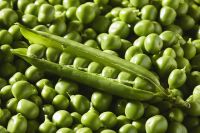 Fresh Peas