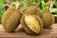 Durian 