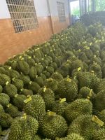 Durian 