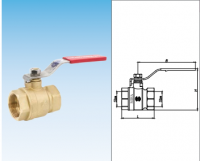 Brass Ball Valve From Vietnam