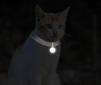 pet tracker light