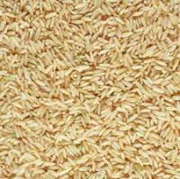 Long-grain brown Rice