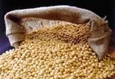 Soybeans