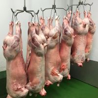 HALAL FRESH / FROZEN GOAT / LAMB / SHEEP MEAT / CARCASS