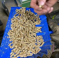 Best prices Pure Pine/Beech/Fir Wood Pellet Available 8mm-40mm