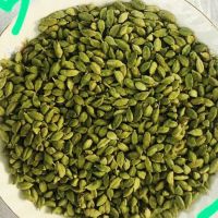 Green Cardamom Premium Whole Large Green Cardamom Fresh Quality