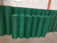 Galvanized wire mesh From China