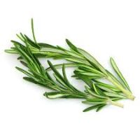 ROSEMARY, THYME