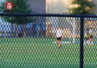 3.0mm Galvanized Welded Metal Wire Fence Chain Link Fence Panels From China