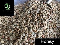 Honey Gayo