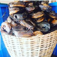 Dried Fish