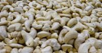 Cashew Nuts