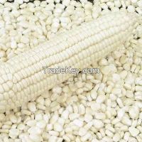 White maize