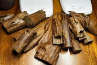 agarwood indonesia