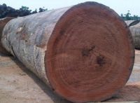 Mahogany Timber Hardwood