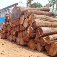 African Hard Wood Timber Logs