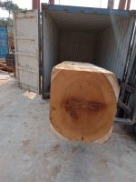 Round Iroko Timber Hardwood Log