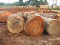 Bubinga Hardwood Timber Logs