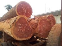 Sapele Round Wood Logs Timber