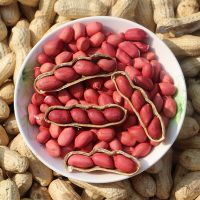 Red Skin Peanuts