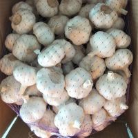 https://cn.tradekey.com/product_view/African-Fresh-Garlic-9627881.html