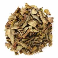 Kenya Tinderet White Tea