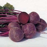 Beet Roots Seeds