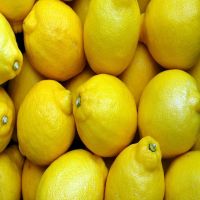 Fresh Yellow Lemons From Cameroon
