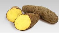 Cameroon Yellow Yams Tuber