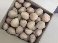 High Quality Organic Coconut Flour From South Africa