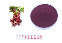 Red pigment extracted from red beet