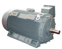 Explosion proof motor