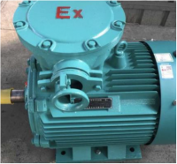 Flameproof motor