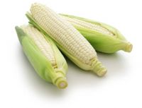 White Corn Available in Bulk for Sale