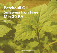 Patchouli Oil Sulawesi Iron Free Min